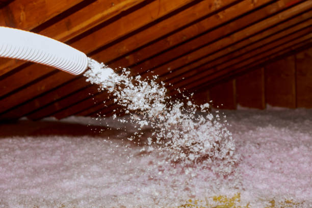 Best Commercial Insulation in Rotan, TX