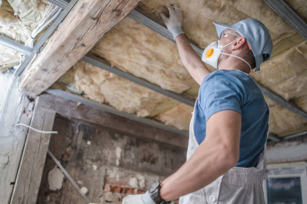 Types of Insulation We Offer in Rotan, TX
