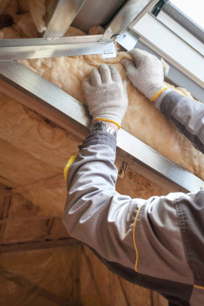 Best Specialized Insulation Services in Rotan, TX