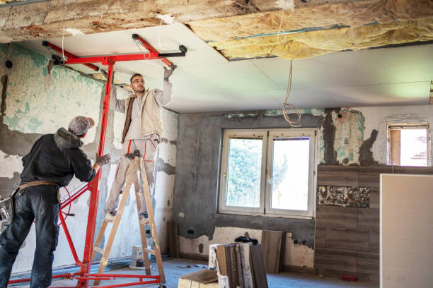 Best Insulation Maintenance and Repair in Rotan, TX